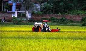 Bắc Giang: Thêm 3 xã đạt chuẩn nông thôn mới năm 2023