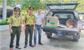 Bắc Giang: Chuyển giao 2 cá thể động vật rừng quý hiếm cho Trung tâm Cứu hộ