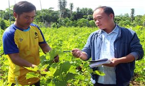 Đồng bào DTTS với nghề ''ăn cơm đứng''