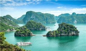 Việt Nam đứng đầu danh sách gợi ý các điểm đến hấp dẫn năm 2023