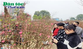 Thái Nguyên: Đường phố rực rỡ sắc hoa ngày giáp Tết Quý Mão 2023