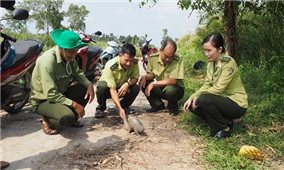 Cà Mau: Một cá nhân tự nguyện giao nộp cá thể tê tê Java quý hiếm