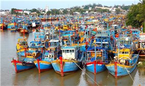 Bình Thuận: Nhiều tàu cá sắp cạn kiệt lương thực do thời tiết xấu trên biển