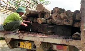 Quảng Ngãi: Điều tra đối tượng đánh Kiểm lâm và nhân viên bảo vệ rừng