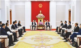 Lãnh đạo tỉnh Quảng Ninh tiếp xã giao Tập đoàn TCL