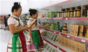 Công bố hơn 500 doanh nghiệp hàng Việt Nam chất lượng cao năm 2023