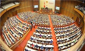 Hướng dẫn một số điều khoản của Nội quy kỳ họp Quốc hội