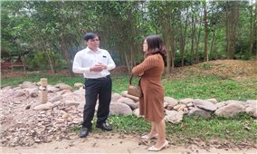 Ban Dân tộc tỉnh Thừa Thiên Huế: Kiểm tra tiến độ triển khai các dự án thuộc Chương trình MTQG