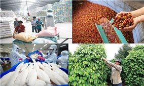 Tháng 3/2023: Tổng trị giá xuất nhập khẩu hàng hóa của Việt Nam ước đạt hơn 58 tỷ USD