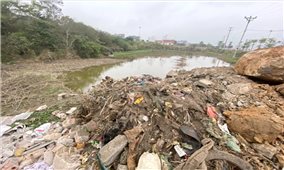 Tp. Hạ Long (Quảng Ninh): Cần có giải pháp xử lý triệt để tình trạng đổ thải trái phép