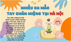 Nhiều ca mắc bệnh tay chân miệng tại Hà Nội