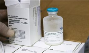 WHO viện trợ khẩn cấp 6 lọ thuốc hiếm để cứu bệnh nhân ngộ độc botulinum