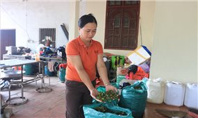 Nông dân Việt Nam xuất sắc 2023 lập nghiệp từ một sào ruộng