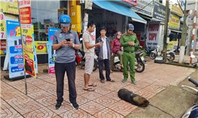 Đắk Nông: Chó dại đến cổng trường tấn công, 2 học sinh tiểu học bị thương