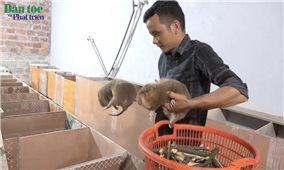 Chàng thanh niên người Dao ở Ba Chẽ làm giàu từ mô hình nuôi dúi
