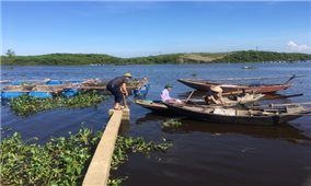 Hà Tĩnh: Xác định nguyên nhân khiến 50 tấn cá nuôi lồng bè chết trên sông Nghèn