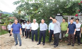Bình Định: Lãnh đạo tỉnh kiểm tra công tác phòng chống thiên tai tại huyện miền núi An Lão