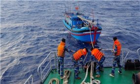 Quảng Nam: Một tàu cá bị chìm trên vùng biển Trường Sa, 14 ngư dân mất tích