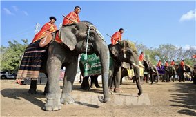 Gặp nài voi Y Quang Byă ở Buôn Đôn