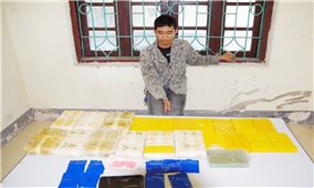 Bộ đội Biên phòng Điện Biên bắt đối tượng vận chuyển 12 bánh Heroin và 54.000 viên ma túy tổng hợp