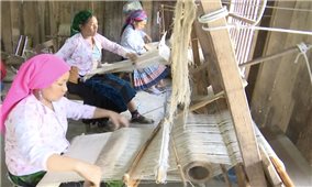 Người phụ nữ Mông kết nối với thế giới bằng sợi lanh
