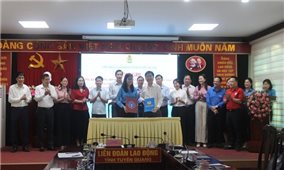 Đánh giá hoạt động phối hợp của Liên đoàn Lao động tỉnh với BHXH tỉnh Tuyên Quang