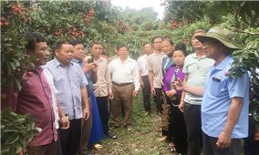 Đoàn Người có uy tín tỉnh Sơn La tham quan, học tập kinh nghiệm tại tỉnh Bắc Giang
