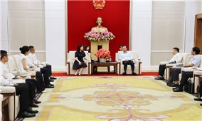 Quyền Chủ tịch UBND tỉnh Quảng Ninh tiếp Tập đoàn Xây dựng Thái Bình Dương
