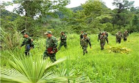Bộ đội Biên phòng Nghệ An: Tăng cường hợp tác, giúp đỡ các Đại đội biên phòng nước bạn Lào