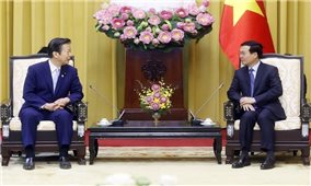 Việt Nam và Nhật Bản phối hợp chặt chẽ vì hòa bình thịnh vượng chung trong khu vực và thế giới