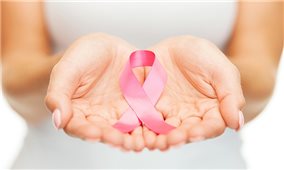 Phát hiện mới mở ra triển vọng trong điều trị bệnh ung thư vú