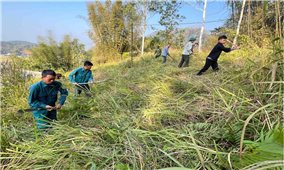 Nhìn lại mô hình cộng đồng tham gia quản lý rừng: Nhiều vướng mắc trong giao rừng (Bài 2)