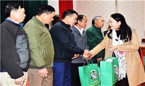 Thứ trưởng, Phó Chủ nhiệm UBDT Nông Thị Hà thăm và tặng quà Tết đồng bào DTTS tỉnh Tuyên Quang