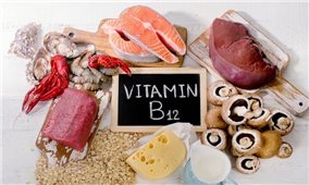 Những thực phẩm giàu vitamin B12 bạn nên biết