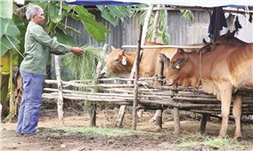 Liên Sơn ngày mới