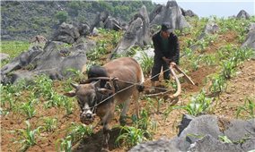 Nhận diện thực trạng kinh tế - xã hội theo điều tra phiếu xã: Bảo đảm chính sách đất đai cho đồng bào DTTS (Bài 7)