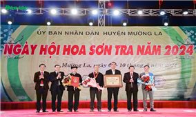 Sơn La: Xác lập kỷ lục rừng hoa sơn tra Ngọc Chiến lớn nhất Việt Nam và Khai mạc Ngày hội Hoa Sơn tra năm 2024
