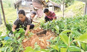 Quảng Nam: Giám sát thực hiện Chương trình giảm nghèo bền vững năm 2024