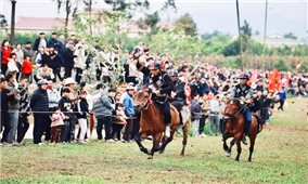 Sắp diễn ra Ngày hội đua ngựa Tây Bắc