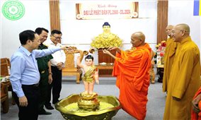 Một số tỉnh Tây Nam bộ tổ chức đoàn thăm hỏi và chúc mừng Tăng ni, Phật tử nhân Đại lễ Phật đản