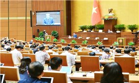 Quốc hội thảo luận về kết quả giám sát việc giải quyết kiến nghị của cử tri gửi đến Kỳ họp thứ 6, Quốc hội khóa XV