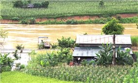 Cao Bằng: Mưa lớn kéo dài làm ảnh hưởng giao thông, thiệt hại về nhà ở và hoa màu