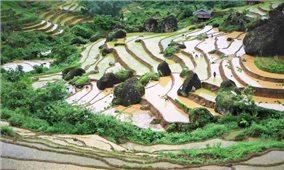 Ngỡ ngàng vẻ đẹp ruộng bậc thang Lai Châu mùa nước đổ