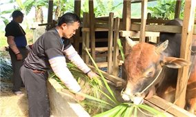 Nhìn lại công tác giảm nghèo ở Mường Lát