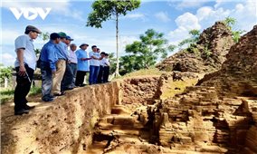 Tìm thấy đầu phù điêu Phật bằng đá trong quá trình khảo cổ tháp đôi Liễu Cốc