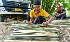 Cây trồng chủ lực ở huyện vùng cao Thanh Hóa giá thấp cũng không có người mua