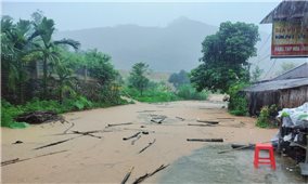 Quảng Ninh: Nhiều nơi bị ngập úng cục bộ do mưa lớn