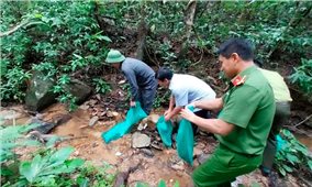 Gia Lai: Thả 9 cá thể động vật hoang dã có tên trong sách Đỏ về rừng