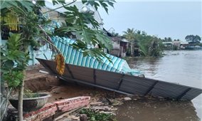 Sạt lở nghiêm trọng trên tuyến đê Biển Đông tại tỉnh Bạc Liêu