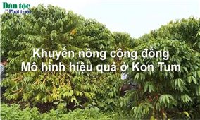 Khuyến nông cộng đồng - Mô hình hiệu quả ở Kon Tum